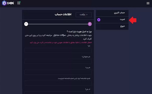 سایت اوکی اکسچنج