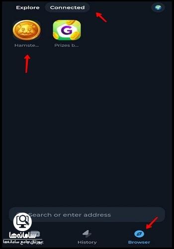 کیف پول همستر