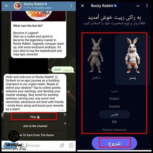 انیگما راکی ربیت